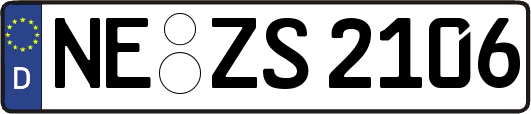 NE-ZS2106