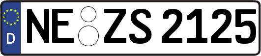 NE-ZS2125