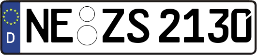 NE-ZS2130