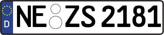 NE-ZS2181