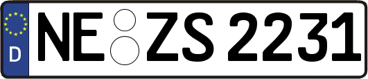 NE-ZS2231