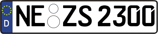NE-ZS2300