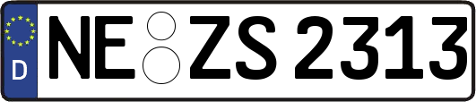 NE-ZS2313
