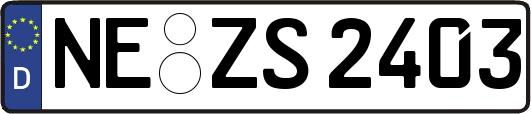 NE-ZS2403