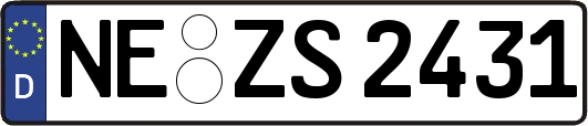 NE-ZS2431