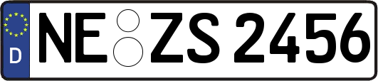 NE-ZS2456