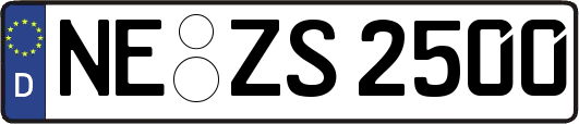 NE-ZS2500