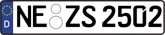 NE-ZS2502