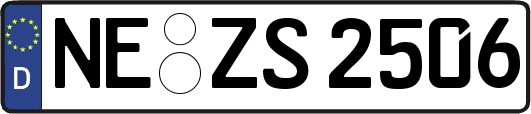 NE-ZS2506