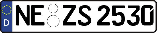 NE-ZS2530