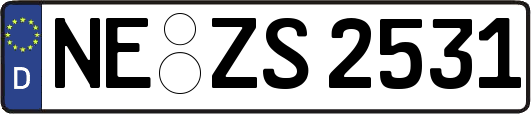 NE-ZS2531