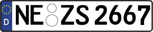 NE-ZS2667