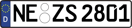 NE-ZS2801