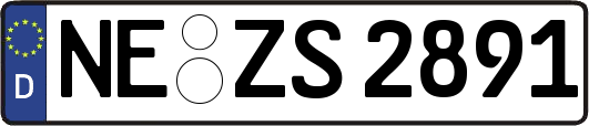 NE-ZS2891