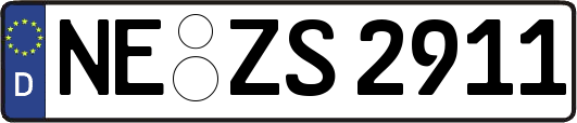 NE-ZS2911