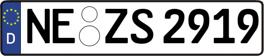 NE-ZS2919
