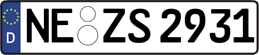 NE-ZS2931