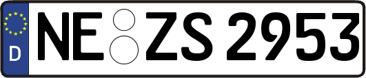 NE-ZS2953