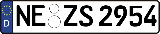NE-ZS2954