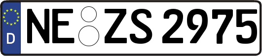 NE-ZS2975