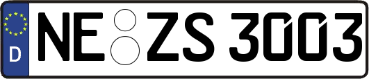 NE-ZS3003