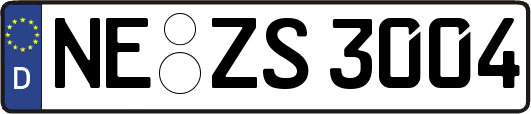 NE-ZS3004