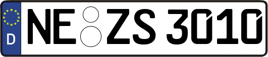 NE-ZS3010
