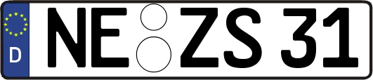 NE-ZS31
