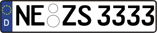 NE-ZS3333