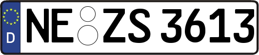 NE-ZS3613