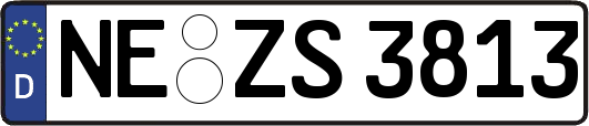 NE-ZS3813