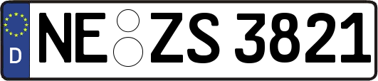 NE-ZS3821