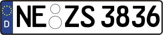 NE-ZS3836