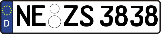 NE-ZS3838