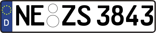NE-ZS3843