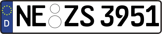 NE-ZS3951