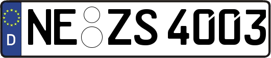 NE-ZS4003