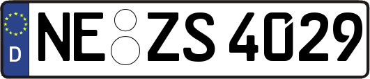 NE-ZS4029