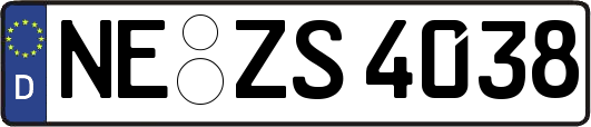 NE-ZS4038