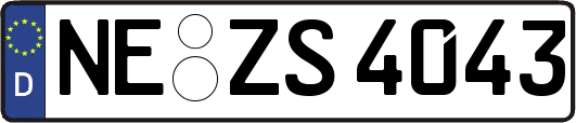 NE-ZS4043