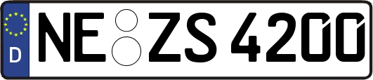 NE-ZS4200