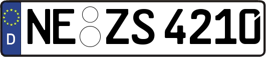NE-ZS4210