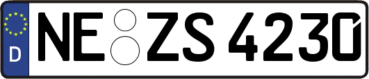 NE-ZS4230