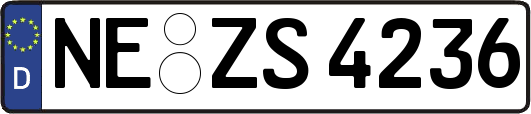 NE-ZS4236