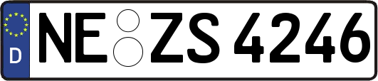 NE-ZS4246