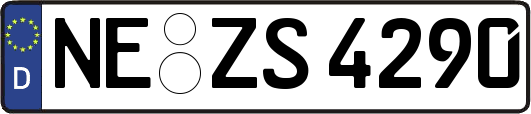 NE-ZS4290