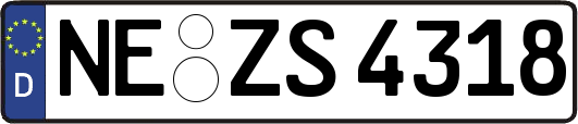 NE-ZS4318