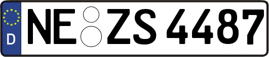 NE-ZS4487