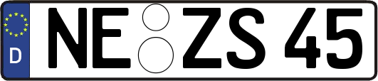 NE-ZS45