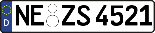 NE-ZS4521